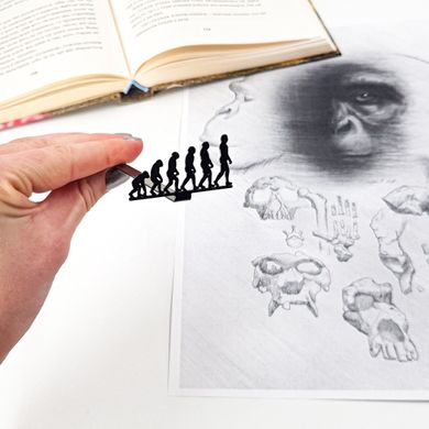 Металева закладка для книг «Еволюція» 1619404783686