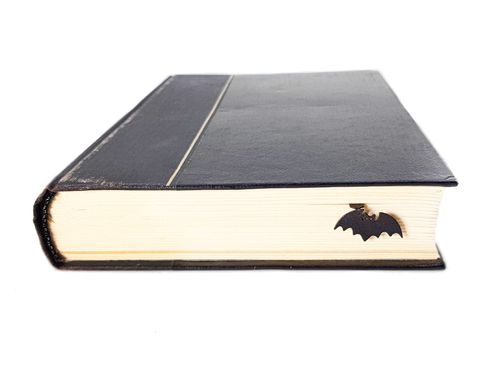 Закладка для книг «Маленькая летучая мышь» 16194295235262143