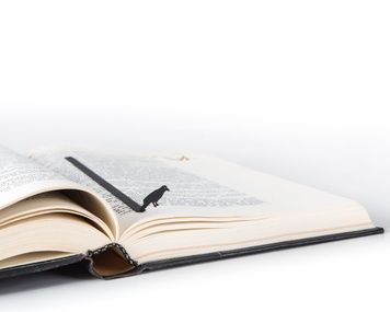 Закладка для книг &laquo;Ворона&raquo;