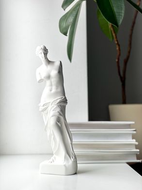 Гіпсова статуетка Венери Мілоської (біла) 161941743213713