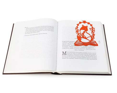 Закладка для книг «Лисица на книге» BM02_fox_orange