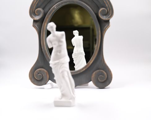 Гіпсова статуетка Венери Мілоської (біла) 161941743213713