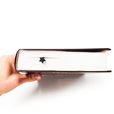 Закладка для книг &laquo;Маленький принц на кометі&raquo;