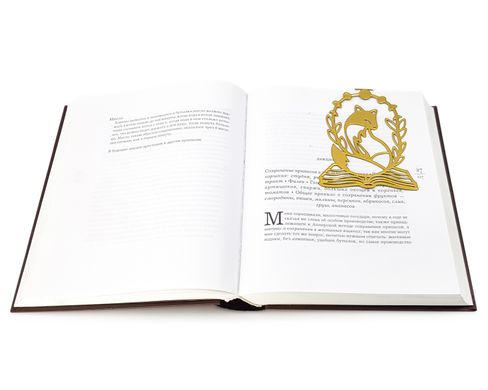 Закладка для книг «Лисица на книге» (золотая) BM02_fox_gold