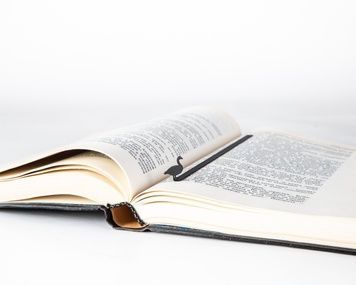 Закладка для книг &laquo;Гусак Гуся&raquo;