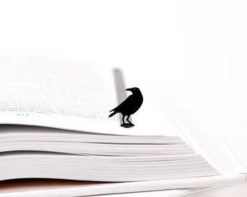 Закладка для книг &laquo;Ворон&raquo;