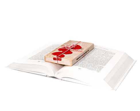 Закладка для книг «Земляничная поляна» BM02_strawberry