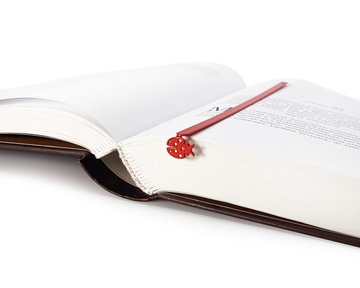 Закладка для книг «Сонечко» BM01_ladybird