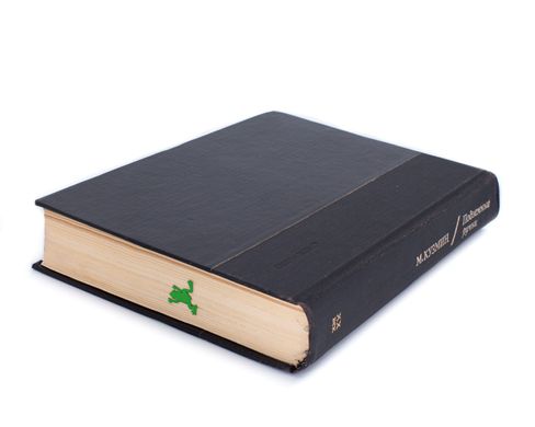 Закладка для книг «Лягушка» (зеленая) 1619019726919