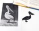 Закладка для книг «Большой пеликан», фото – 9