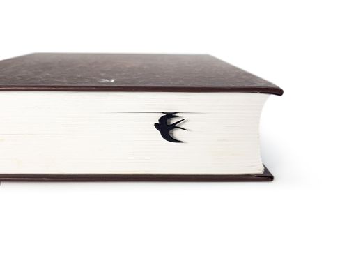 Закладка для книг «Ласточка» BM01_sparrow