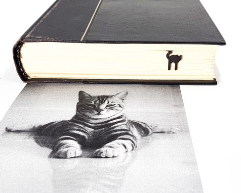 Закладка для книг «Котёнок» 161944246688622